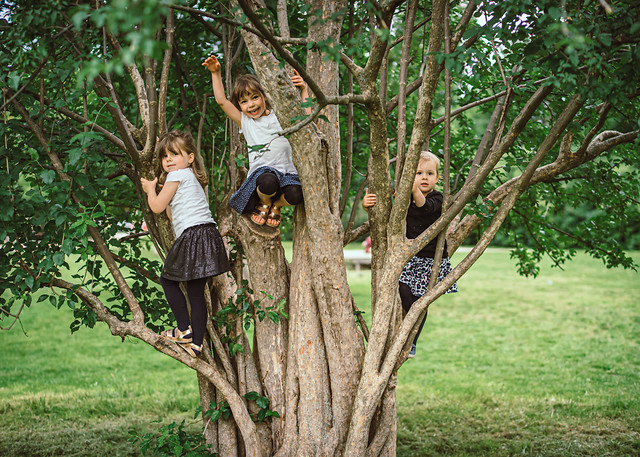 Ausflüge, Veranstaltungen und Feste
